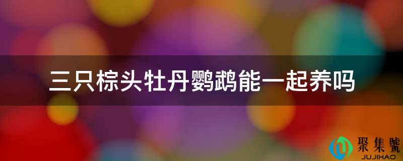 三只棕头牡丹鹦鹉能一起养吗