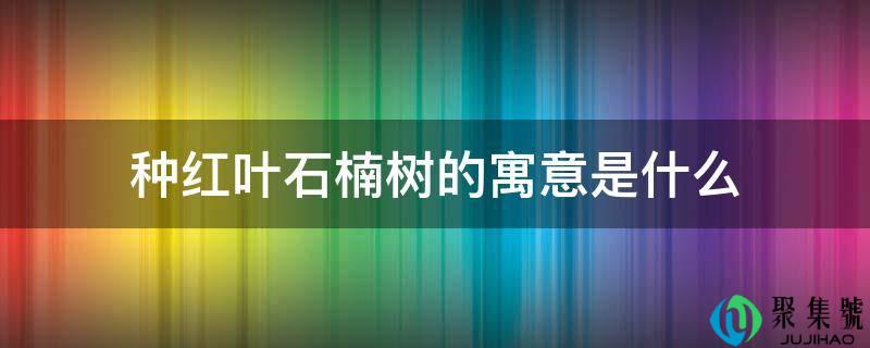 种红叶石楠树的寓意是什么