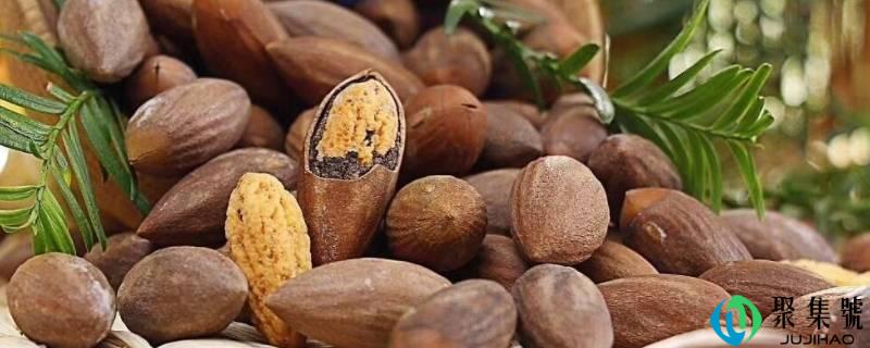 香榧是什么坚果