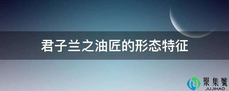 君子兰之油匠的形态特征