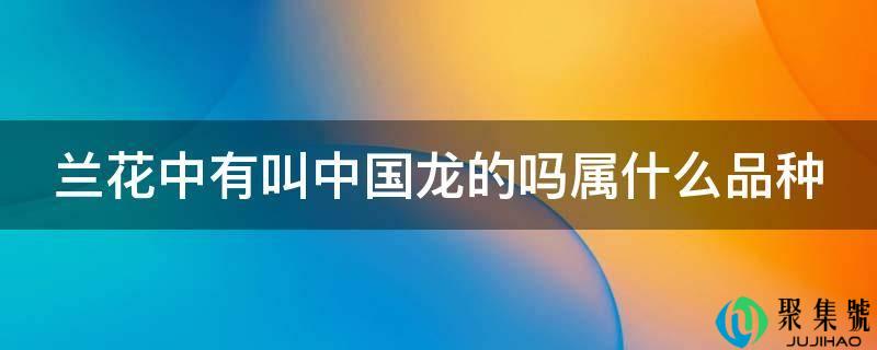 兰花中有叫中国龙的吗属什么品种