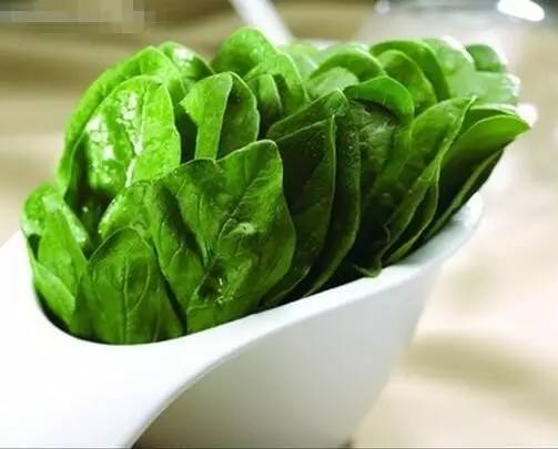 吃菠菜的禁忌(菠菜小米粥的禁忌)