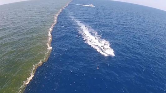 海平面是指哪个海为准(海平面是指哪个海为准)