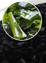 裙带菜是海带吗(裙带菜和海带哪个更好吃)