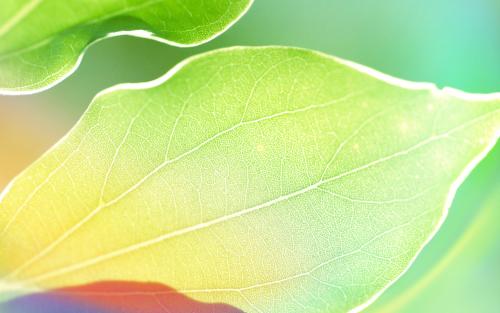 电脑桌面怎么换壁纸的图片(电脑桌面怎么换壁纸的图片窗口老是黑色怎么办)