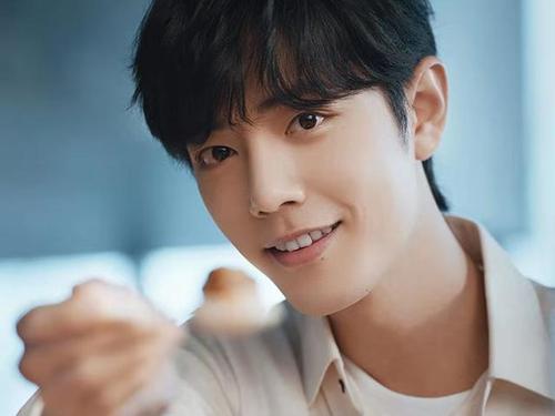 野肖是哪几个肖