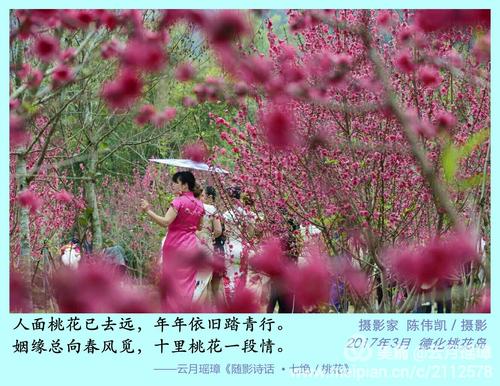 祝福走桃花运的句子