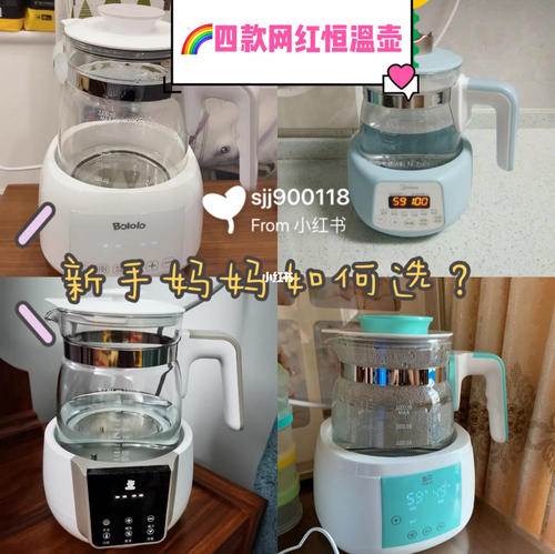 恒温壶怎么用(小壮熊恒温壶怎么用)