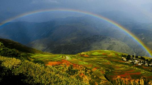 饱经风霜是什么生肖(饱经风霜雪是什么生肖)