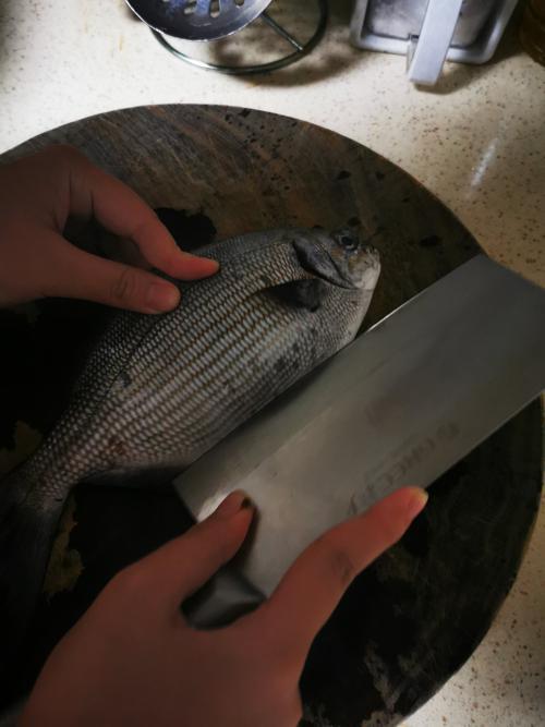 黑鱼身上的粘液怎么去除(黑鱼身上的粘液要不要去除)