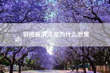 羽绒服清洗完为什么恶臭