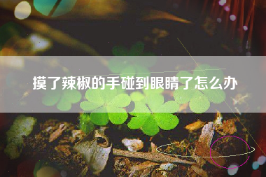 摸了辣椒的手碰到眼睛了怎么办
