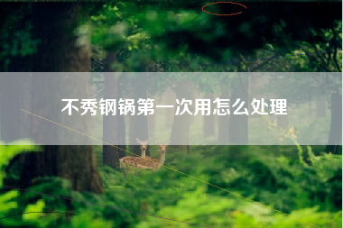 不秀钢锅第一次用怎么处理