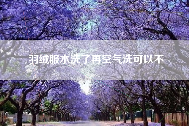 羽绒服水洗了再空气洗可以不