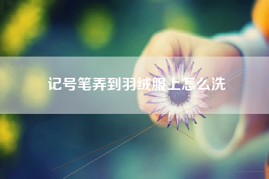 记号笔弄到羽绒服上怎么洗