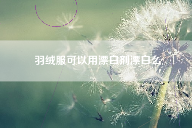 羽绒服可以用漂白剂漂白么