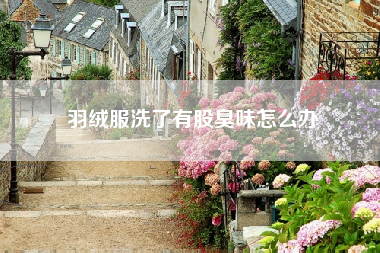 羽绒服洗了有股臭味怎么办