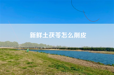 新鲜土茯苓怎么削皮