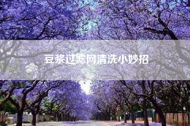 豆浆过滤网清洗小妙招