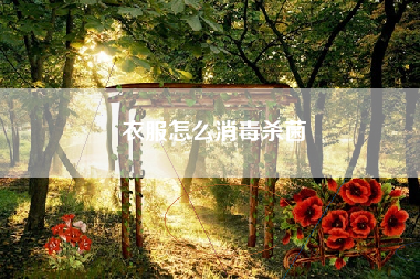 衣服怎么消毒杀菌