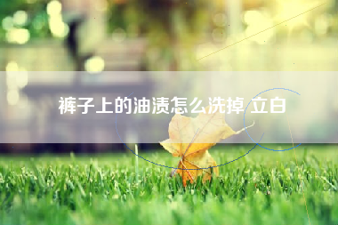 裤子上的油渍怎么洗掉 立白