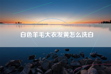 白色羊毛大衣发黄怎么洗白