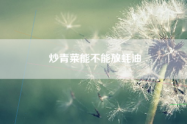 炒青菜能不能放蚝油