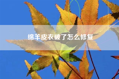 绵羊皮衣破了怎么修复