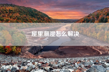 屋里潮湿怎么解决