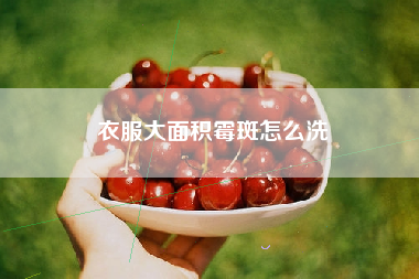 衣服大面积霉斑怎么洗