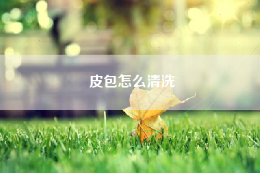 皮包怎么清洗