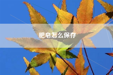 肥皂怎么保存
