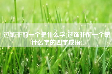 过饰非前一个是什么字(过饰非前一个是什么字的四字成语)