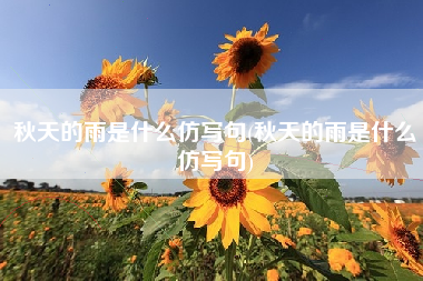秋天的雨是什么仿写句(秋天的雨是什么仿写句)