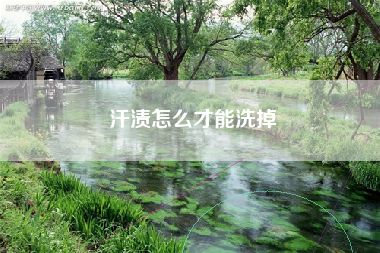 汗渍怎么才能洗掉