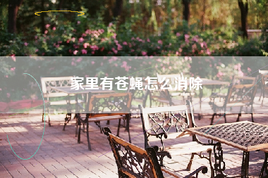家里有苍蝇怎么消除