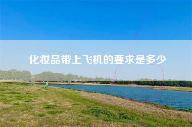 化妆品带上飞机的要求是多少