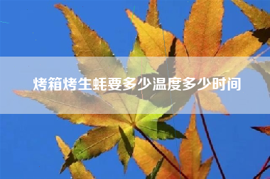 烤箱烤生蚝要多少温度多少时间