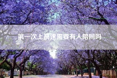 第一次上高速需要有人陪同吗