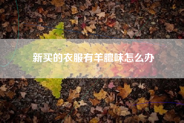 新买的衣服有羊膻味怎么办