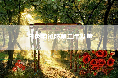 白色羽绒服第二年发黄