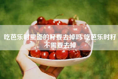 吃芭乐时里面的籽要去掉吗 吃芭乐时籽不需要去掉