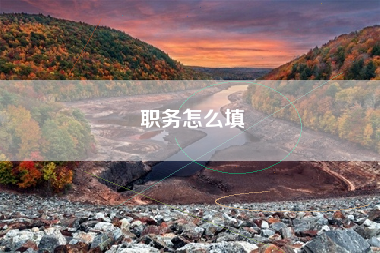 职务怎么填