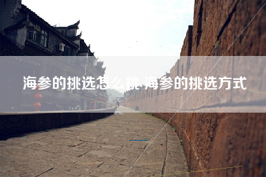 海参的挑选怎么挑 海参的挑选方式