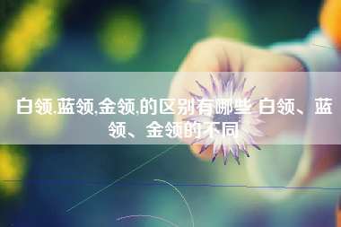 白领,蓝领,金领,的区别有哪些 白领、蓝领、金领的不同