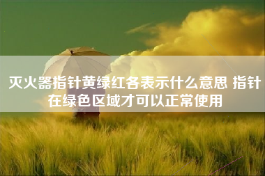 灭火器指针黄绿红各表示什么意思 指针在绿色区域才可以正常使用