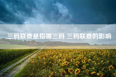 三码联查是指哪三码 三码联查的影响