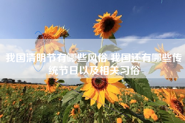 我国清明节有哪些风俗 我国还有哪些传统节日以及相关习俗