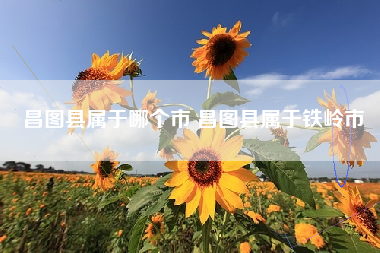 昌图县属于哪个市 昌图县属于铁岭市