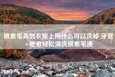 碳素笔弄到衣服上用什么可以洗掉 牙膏+肥皂轻松清洗碳素笔渍